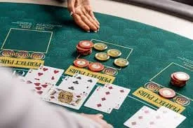 444com Real Dealer Baccarat, Built for Pakistan